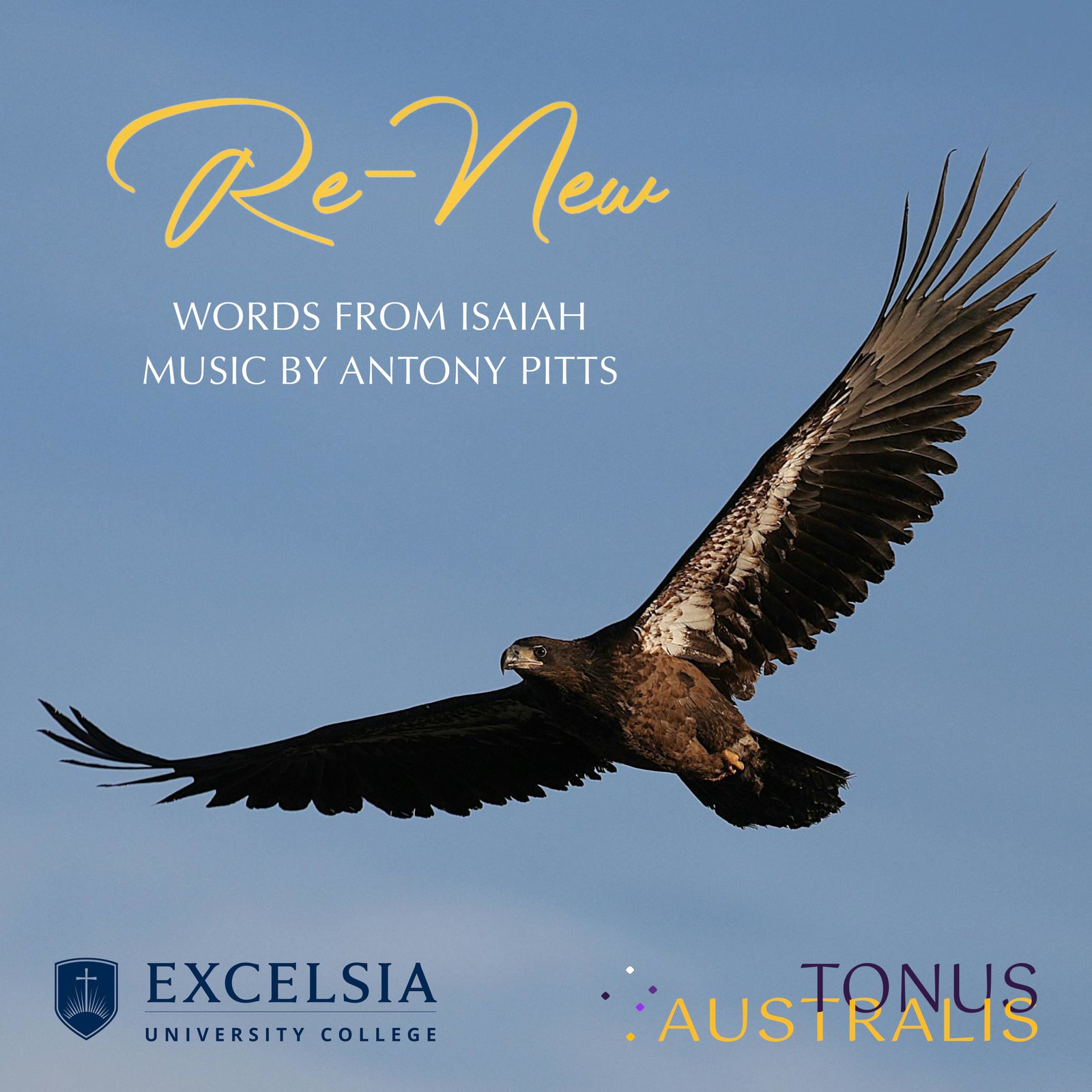 Re-New cover art: a wedge-tailed eagle in flight against a clear blue sky